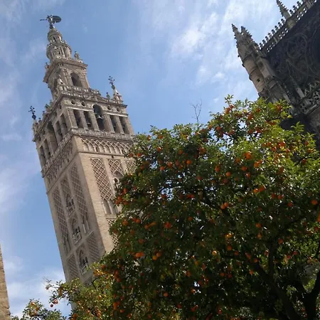 Ricardo Apartamento San José de la Rinconada Zewnętrze zdjęcie
